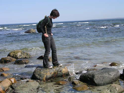 Plum_Island_42