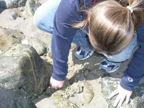 Plum_Island_45