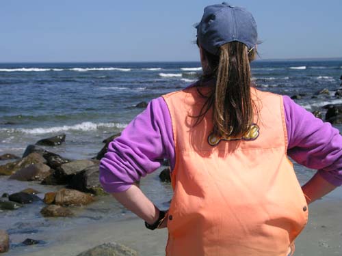 Plum_Island_46