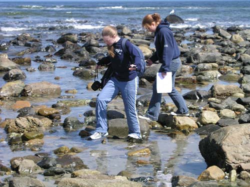 Plum_Island_48