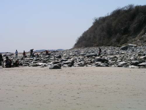 Plum_Island_49