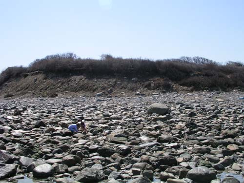 Plum_Island_54