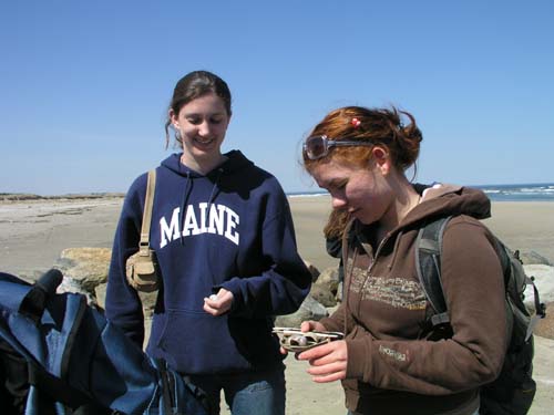 Plum_Island_58