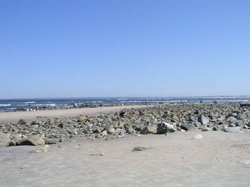 Plum_Island_59