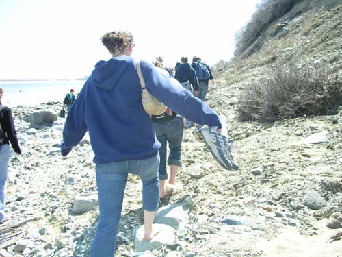 Plum_Island_64