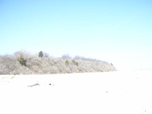 Plum_Island_67