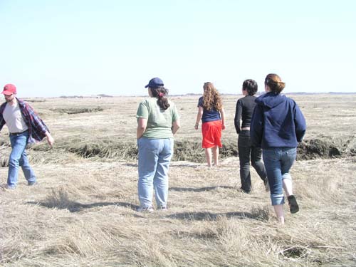 Plum_Island_70