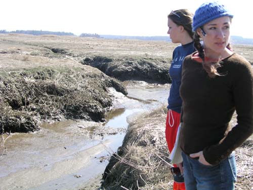 Plum_Island_72