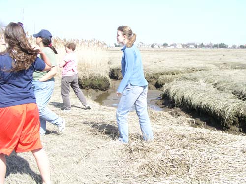 Plum_Island_73