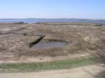 Plum_Island_05
