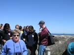 Plum_Island_13