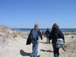 Plum_Island_25