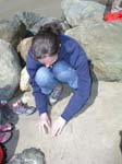 Plum_Island_31