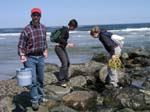 Plum_Island_35
