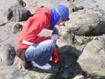 Plum_Island_39