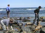 Plum_Island_41