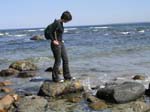 Plum_Island_42