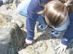 Plum_Island_45
