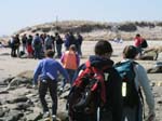 Plum_Island_55