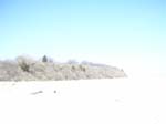 Plum_Island_67