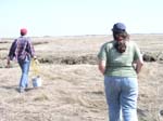Plum_Island_69