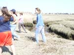 Plum_Island_73