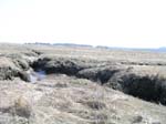 Plum_Island_74