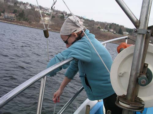 ProjectO_cruise_29
