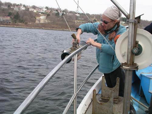 ProjectO_cruise_31