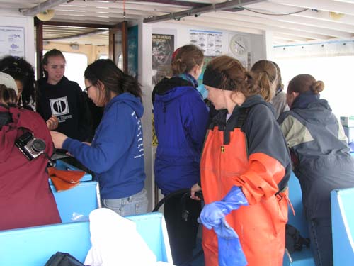 ProjectO_cruise_35