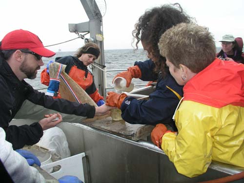 ProjectO_cruise_79