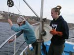 ProjectO_cruise_30