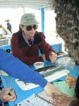 ProjectO_cruise_32