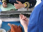 ProjectO_cruise_39