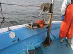 ProjectO_cruise_61