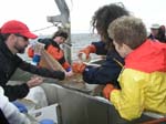 ProjectO_cruise_79