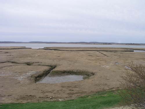 Plum_Island_102