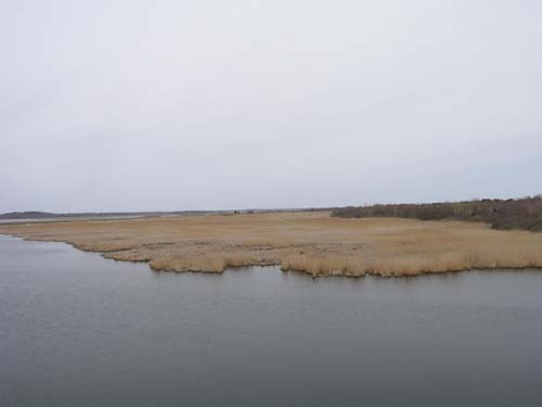Plum_Island_103