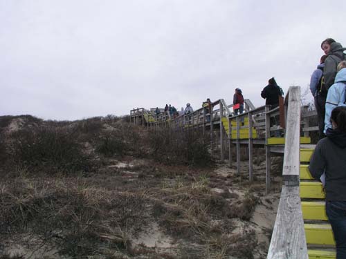Plum_Island_106