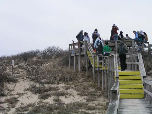 Plum_Island_107