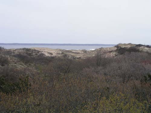 Plum_Island_108