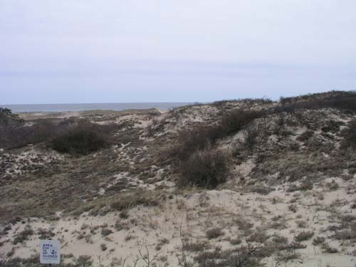 Plum_Island_110