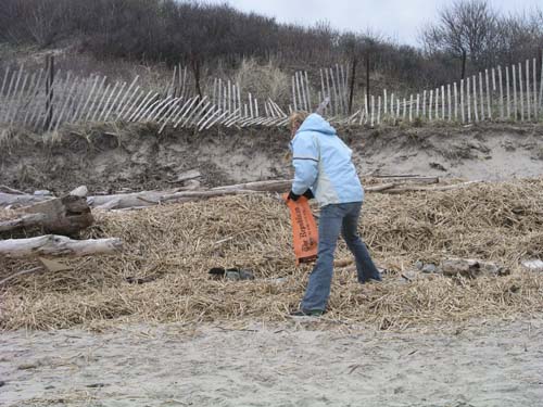 Plum_Island_113