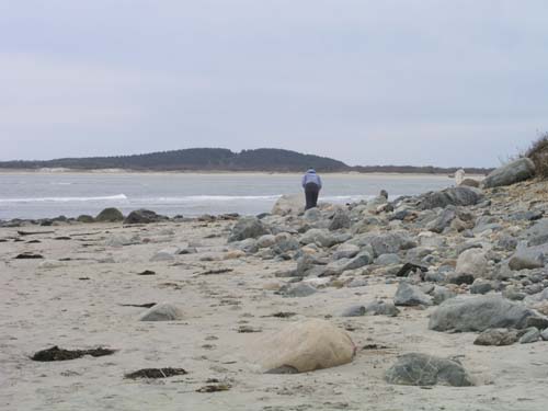 Plum_Island_114