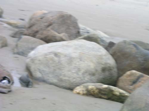 Plum_Island_116