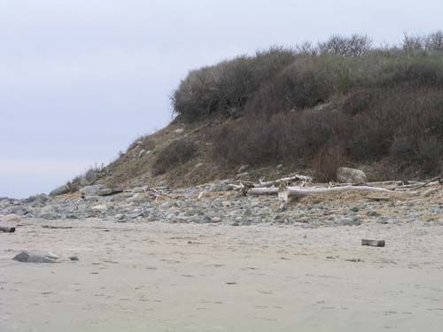 Plum_Island_121