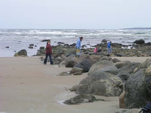 Plum_Island_122