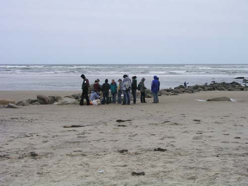 Plum_Island_125