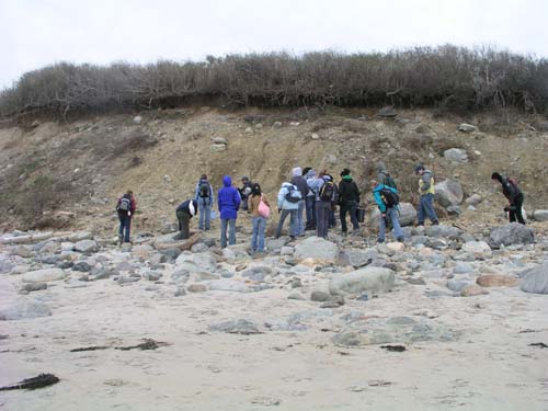 Plum_Island_126