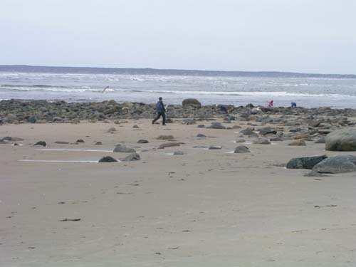Plum_Island_127